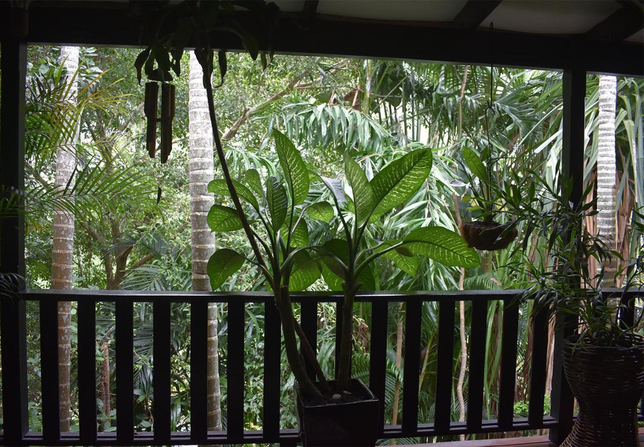 Oskar'S Rain Forest Retreat Nelly Bay Exterior photo